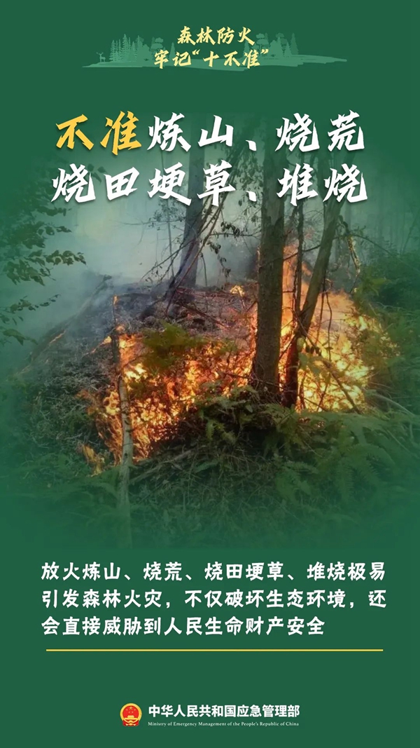 森林防火牢记“十不准”！云南省应急管理厅